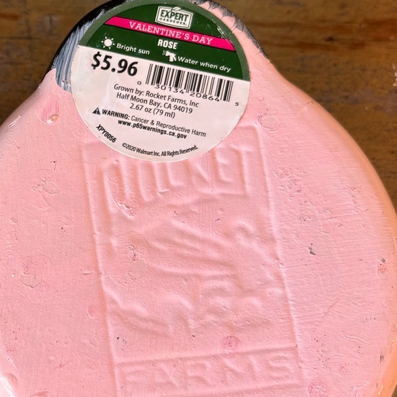 2 Rocket Farms Pink Lovebug Ladybug Mini Planters Silver Polka Dots & Red Hearts - Picture 8 of 9